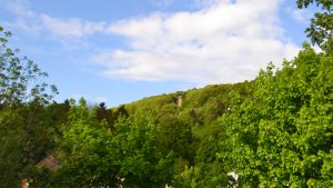 Blick auf den Wattkopfturm über Ettlingen